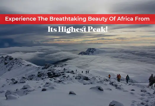 Kilimanjaro Peak Trek Expedition - Africa's  Highest Peak